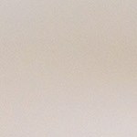 Filete de atún al ajillo