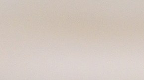 Filete de atún al ajillo