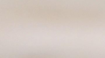 Filete de atún al ajillo