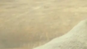 sopa de lentejas light