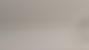 trenette al pesto con patatas y judías verde