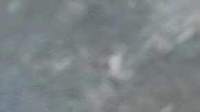 Batido de melocotón y yogurt