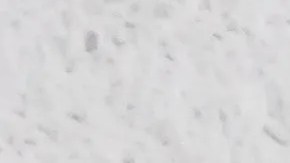 Crema de arroz saludable y proteica