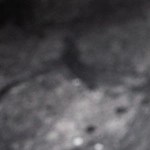 Milanesa de pollo empanizada con ensalada de berro y tomate