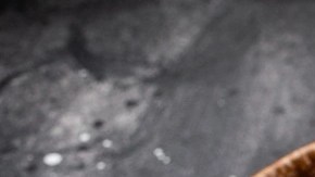 Milanesa de pollo empanizada con ensalada de berro y tomate