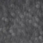 Milanesa de pollo empanizada con jamón serrano y queso gruyere