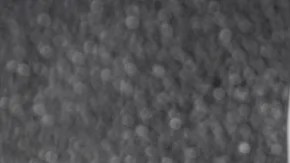 Milanesa de pollo empanizada con jamón serrano y queso gruyere