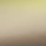 Milanesa de pollo empanizada con salsa roja de jitomate