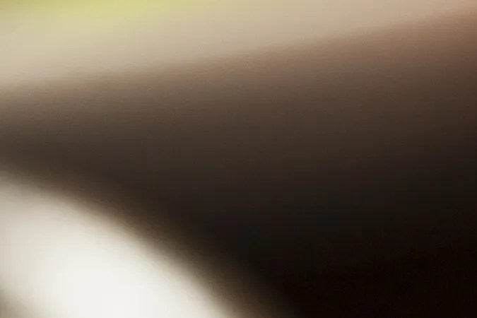 Milanesa de pollo empanizada con salsa roja de jitomate