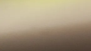 Milanesa de pollo empanizada con salsa roja de jitomate