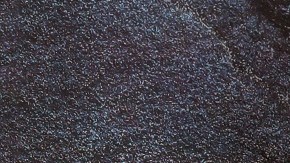 Sartén con un rico osobuco a la romana