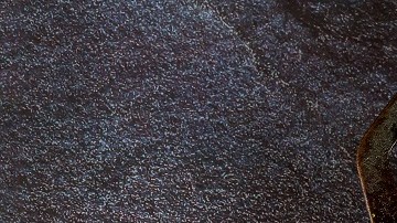 Sartén con un rico osobuco a la romana