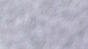 Pappardelle con ragú de cerdo y cinco especias