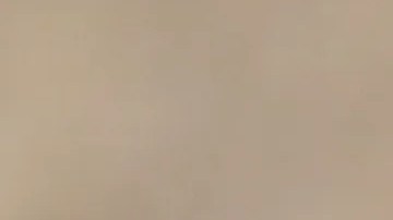 Pappardelle con ragú de cordero