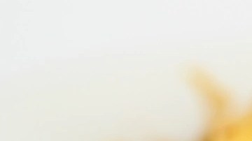 Pappardelle con salsa de vino blanco y ajo