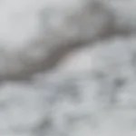 Pasta al Limone (Lemon Ricotta Pasta)