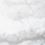 Pechugas de pollo a la plancha con salsa de cúrcuma