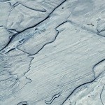 Sartén con pechugas de pollo a la plancha con salsa de higos