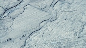 Sartén con pechugas de pollo a la plancha con salsa de higos