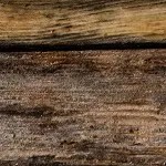 Rigatoni al horno con pollo champiñones