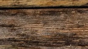 Rigatoni al horno con pollo champiñones