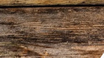 Rigatoni al horno con pollo champiñones