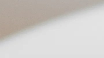 Risotto a la parmesana