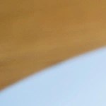 Salmón asado con alioli