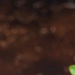 Sándwich Croque monsieur