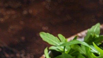 Sándwich Croque monsieur