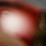 Trucha al horno con almendras