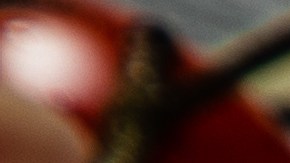 Trucha al horno con almendras