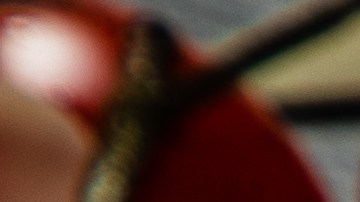 Trucha al horno con almendras