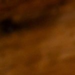 batido de sandía y jamaica.