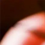 crema de tomate con albahaca