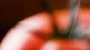 crema de tomate con albahaca