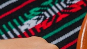 enchiladas mexicanas