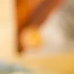 Marraqueta con palta