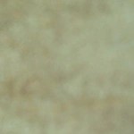 osobuco con guisantes