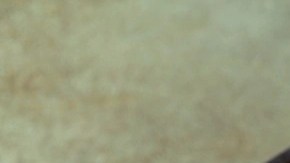 osobuco con guisantes