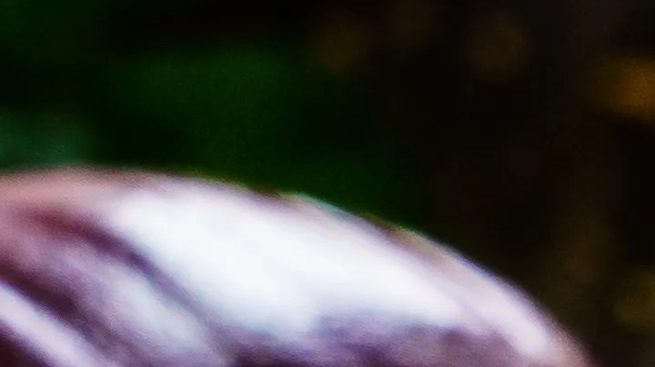 Rigatoni al horno con verduras asadas