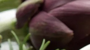 rigatoni con alcachofas