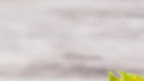 sándwich de ensalada de huevo en panecillo