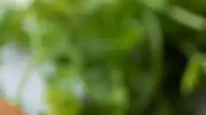 sopa de macarrones con camarones