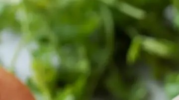 sopa de macarrones con camarones