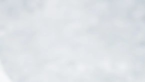 tortitas de coliflor