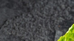 wrap de lechuga con camarones