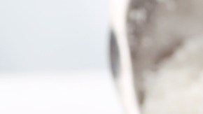 Coquito, dulce criollo venezolano