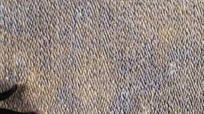 Dedos amputados de salchicha sobre panecillos estilo hot dog