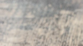 Huevos rellenos con diablito